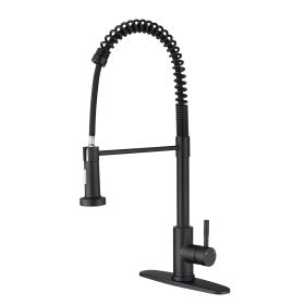 Kitchen Faucet with Pull Out Spraye (Color: as Pic)